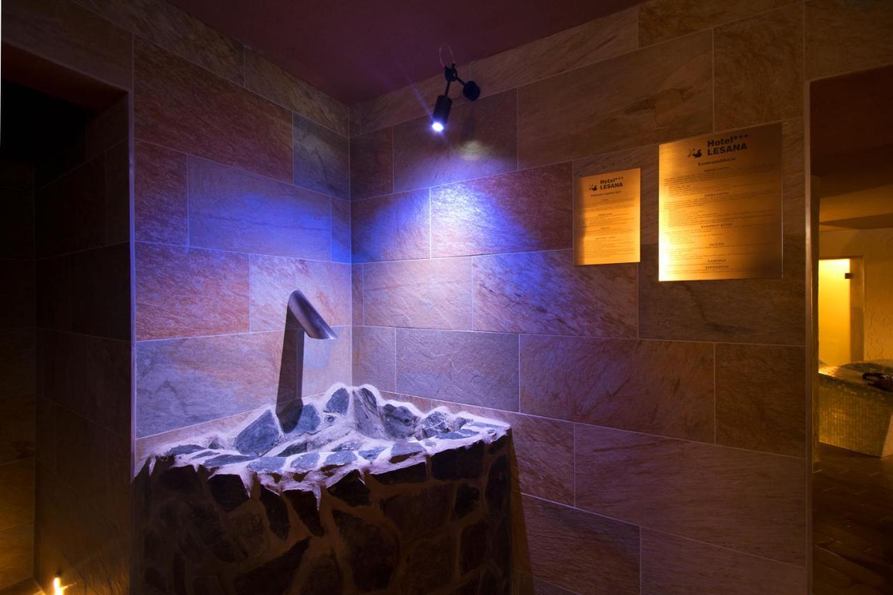 Hotel Lesana Stará Lesná 外观 照片